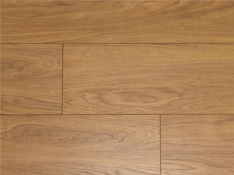 D4589 Dalia Oak