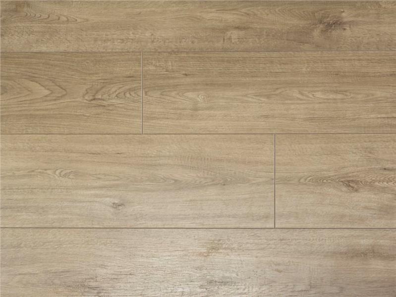 D4592 Galaxy Oak